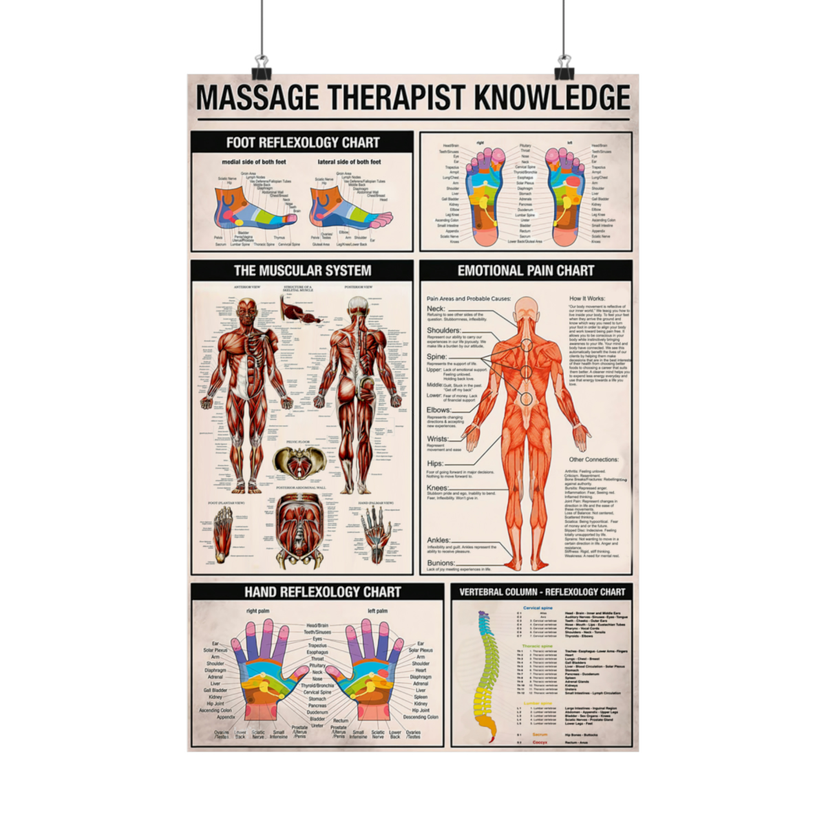 Massage Therapist Knowledge Poster Home Decor